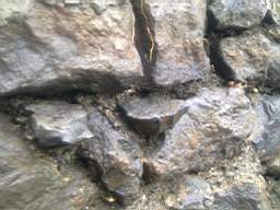 Carrowmore  10400.jpg
